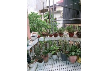 BÁN NHÀ ĐẸP Ở LUÔN – THÔNG SỐ CỰC ĐẸP: 40M2 X 4M. GIÁ CHỈ 3,1 TỶ. NHÀ RẤT NHIỀU PHÚC LỘC!